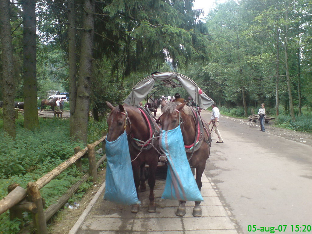 Schronisko w Dolinie Pięciu Stawów Polskich (Vysoké Tatry)