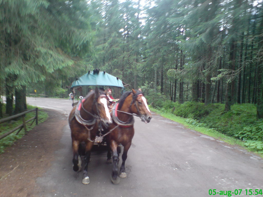 Schronisko w Dolinie Pięciu Stawów Polskich (Vysoké Tatry)