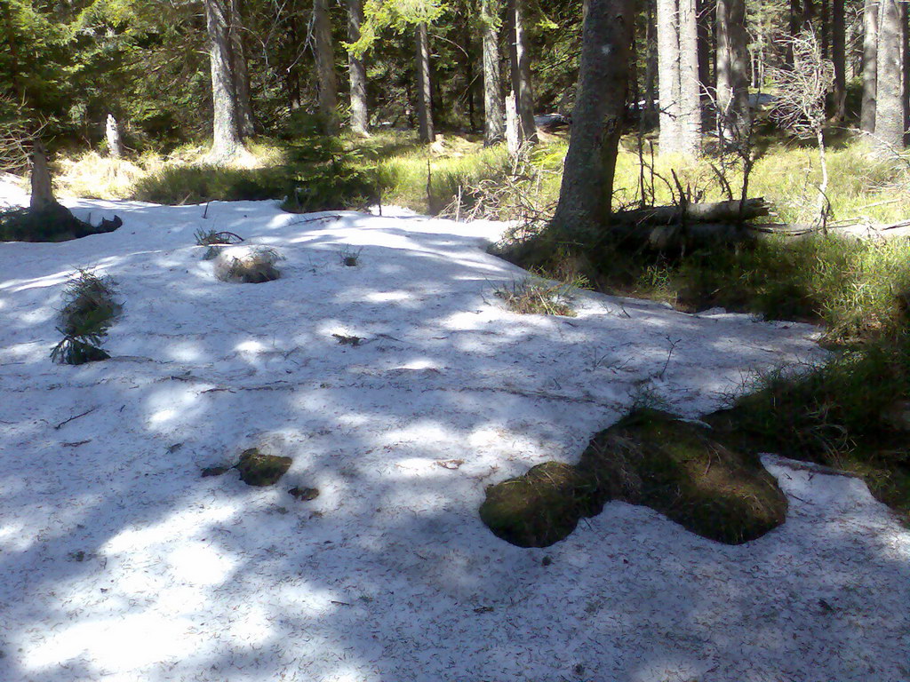 Sedlo pod Malou Svišťovkou (Vysoké Tatry)