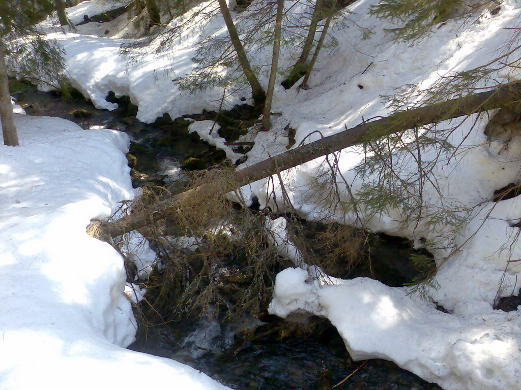 Sedlo pod Malou Svišťovkou (Vysoké Tatry)