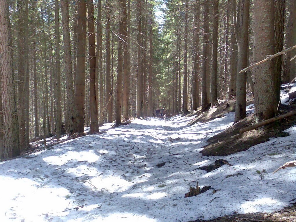 Sedlo pod Malou Svišťovkou (Vysoké Tatry)