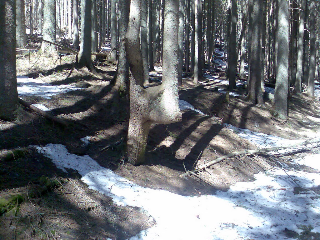 Sedlo pod Malou Svišťovkou (Vysoké Tatry)