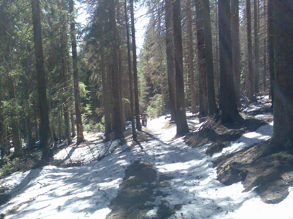 Sedlo pod Malou Svišťovkou (Vysoké Tatry)