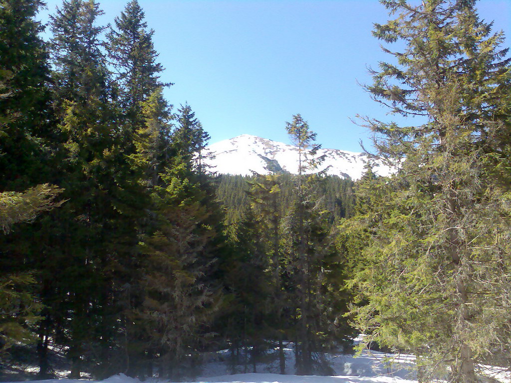 Sedlo pod Malou Svišťovkou (Vysoké Tatry)