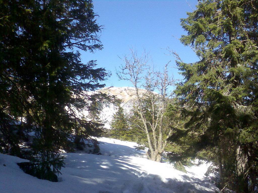 Sedlo pod Malou Svišťovkou (Vysoké Tatry)