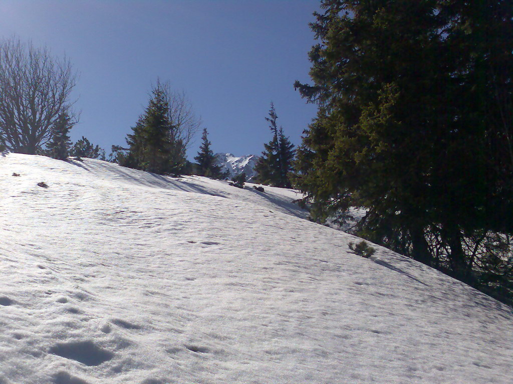 Sedlo pod Malou Svišťovkou (Vysoké Tatry)