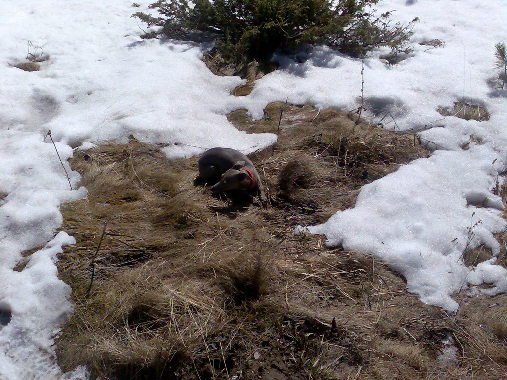 Sedlo pod Malou Svišťovkou (Vysoké Tatry)