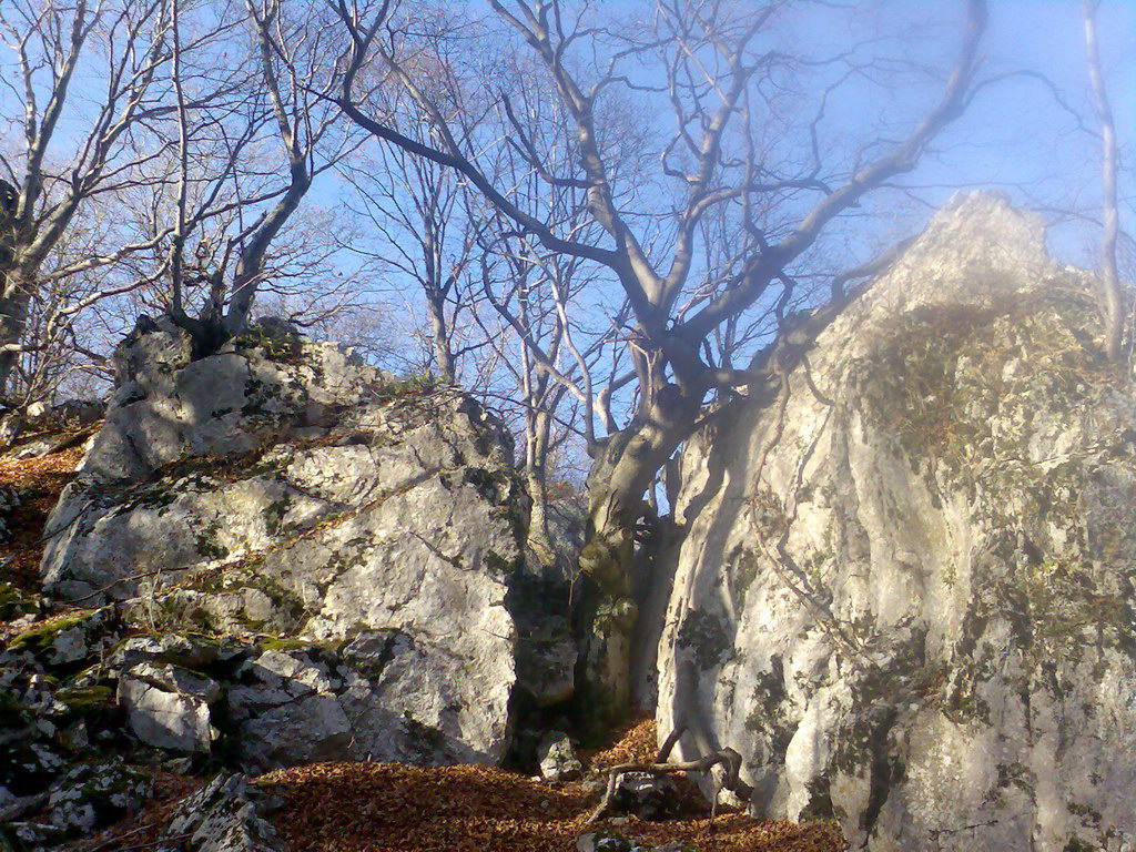 Sedlo Železná brána (Slovenský kras)