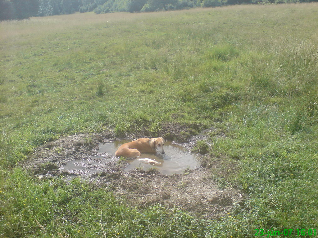 Skalisko z Betliara (Volovské vrchy)