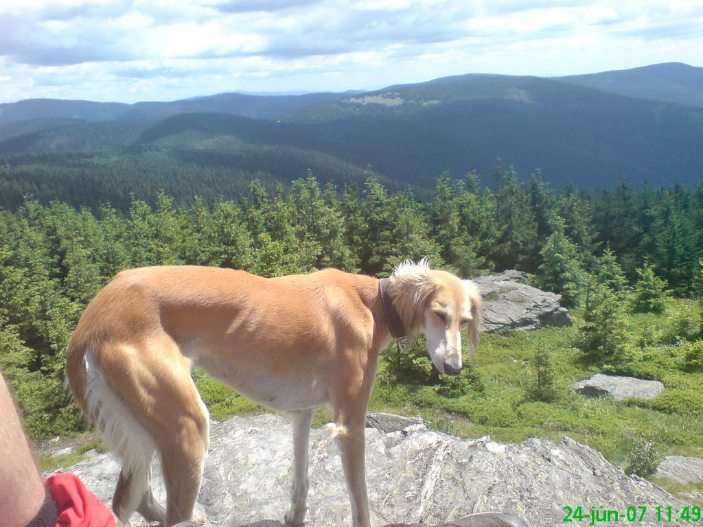 Skalisko z Betliara (Volovské vrchy)