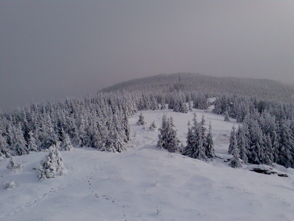 Skalisko z Čučmy (Volovské vrchy)