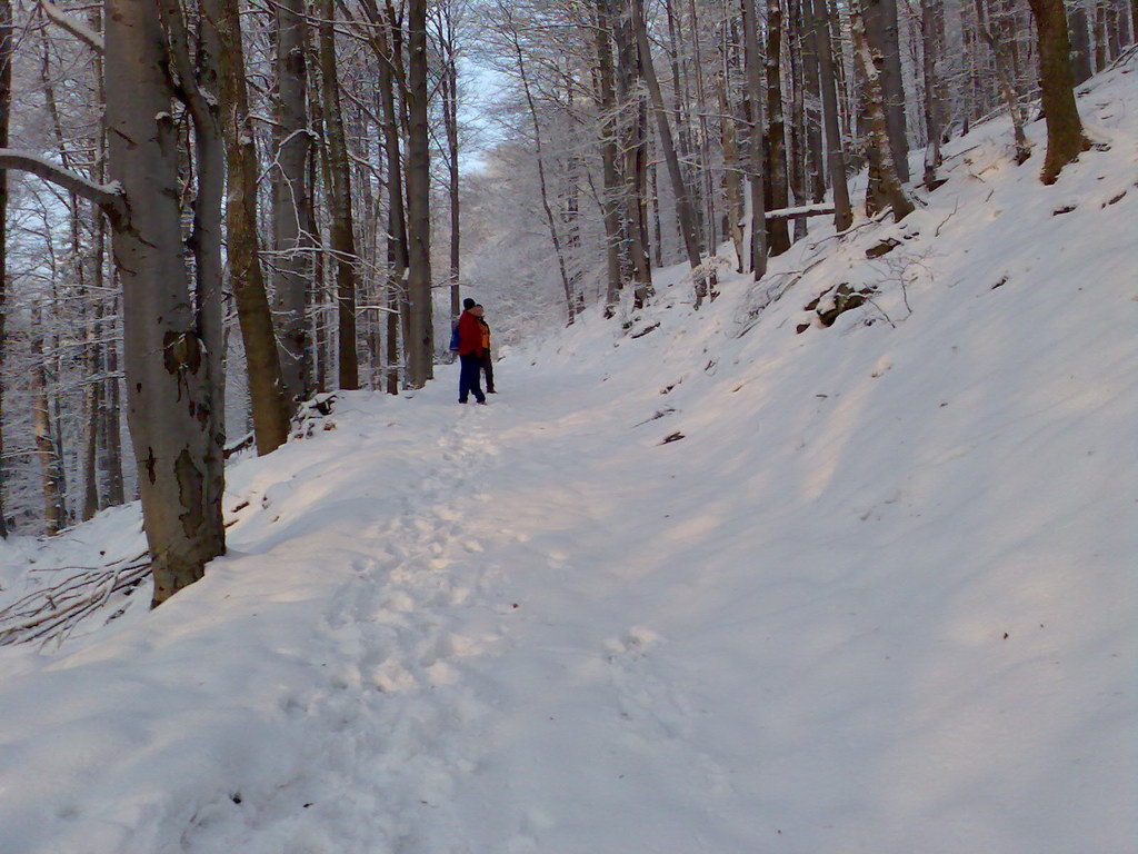 Skalisko z Čučmy (Volovské vrchy)