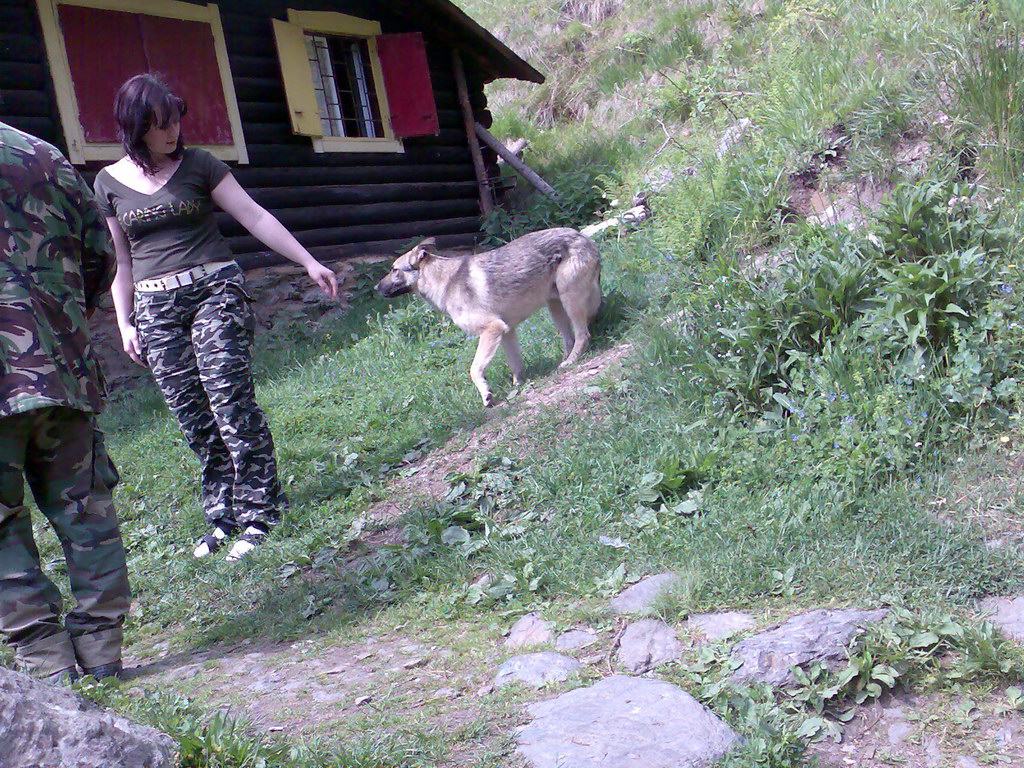 Skalisko z Úhornianskeho sedla (Volovské vrchy)