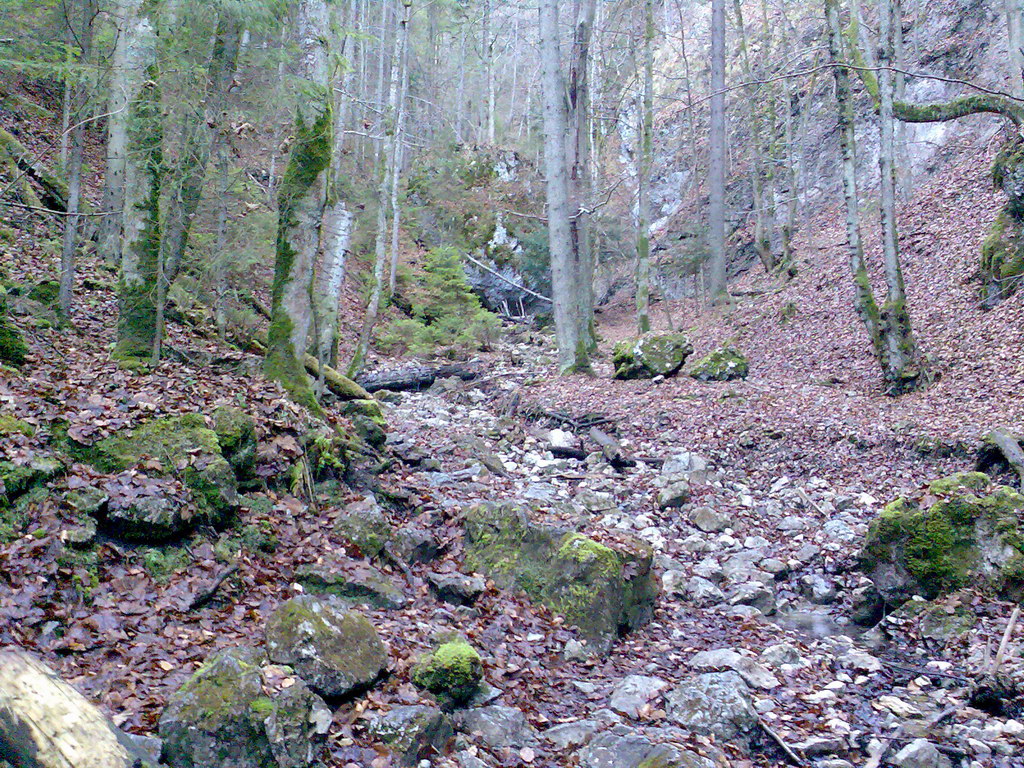 Sokolia dolina & Veľký Kyseľ (Slovenský raj)