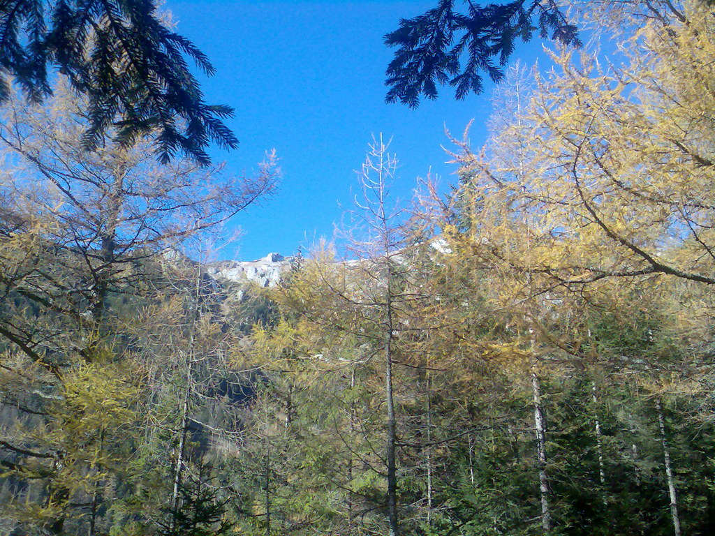 Veľké Biele pleso (Vysoké Tatry)