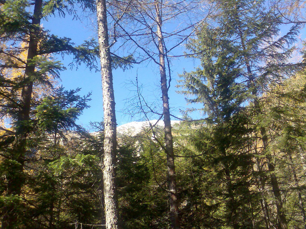 Veľké Biele pleso (Vysoké Tatry)