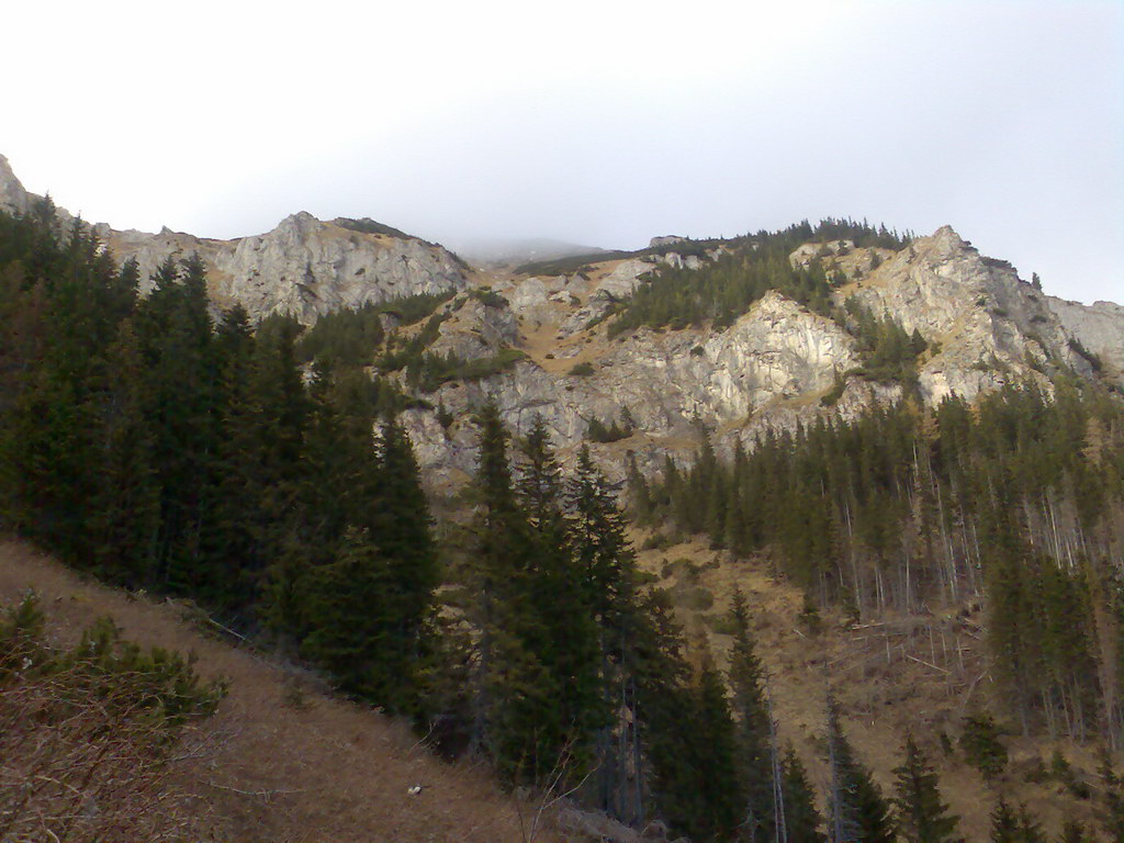 Veľké Biele pleso (Vysoké Tatry)