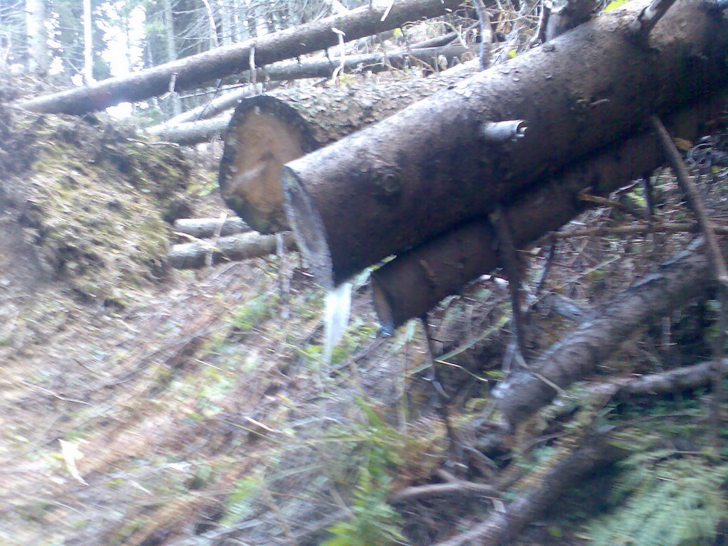 Veľké Biele pleso (Vysoké Tatry)