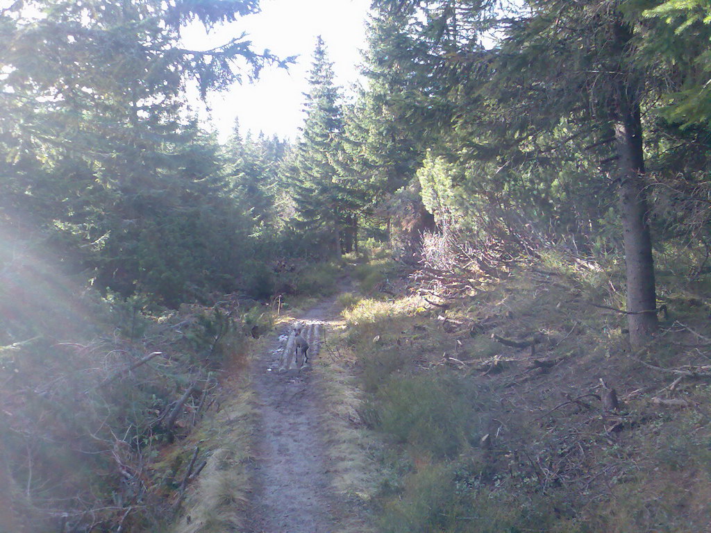 Veľké Biele pleso (Vysoké Tatry)