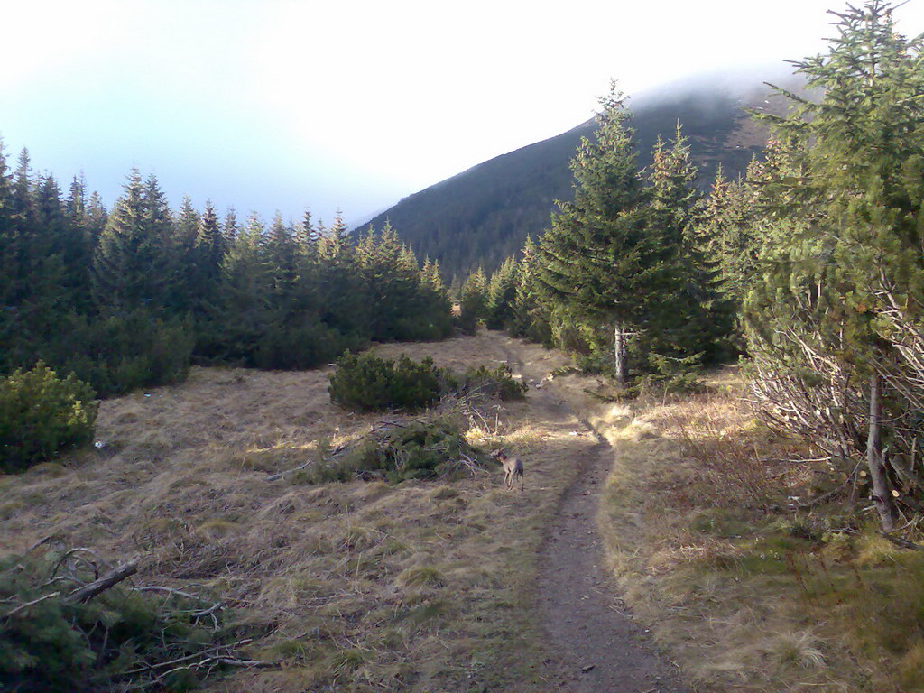 Veľké Biele pleso (Vysoké Tatry)