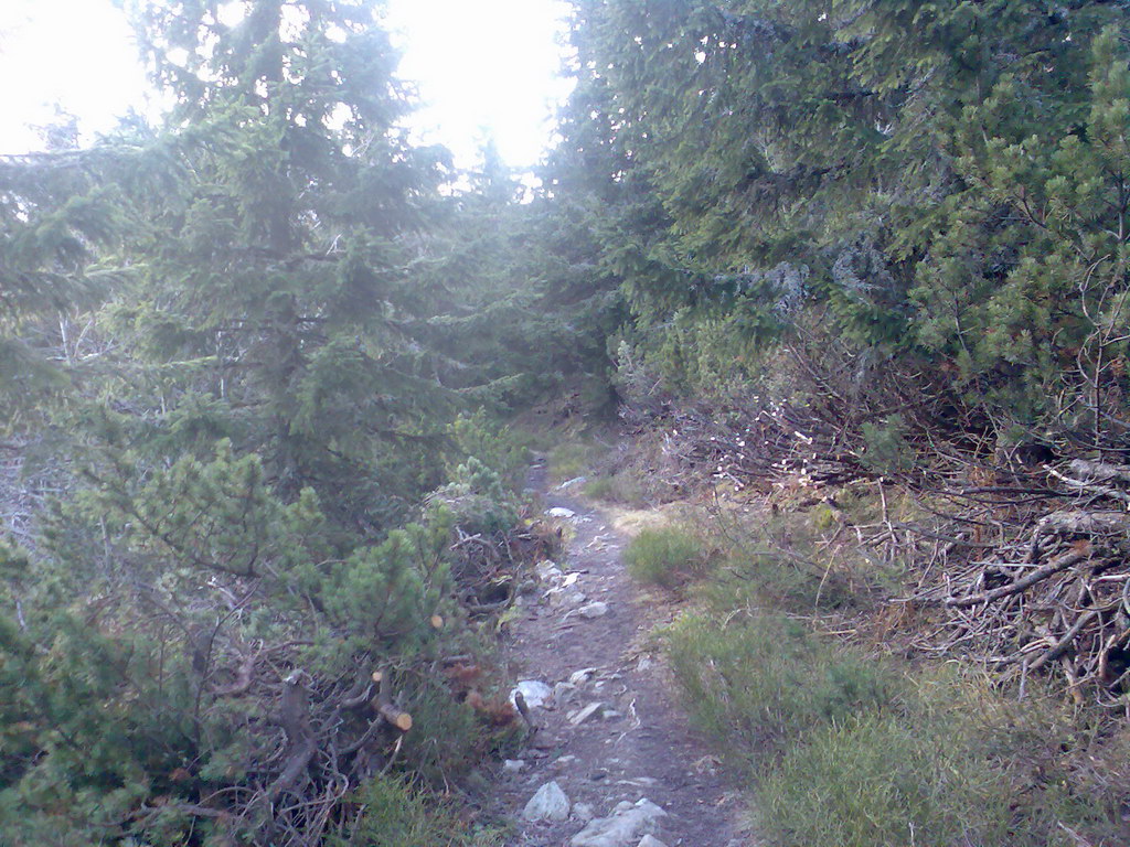 Veľké Biele pleso (Vysoké Tatry)