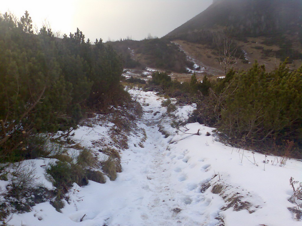 Veľké Biele pleso (Vysoké Tatry)