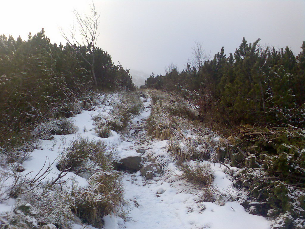 Veľké Biele pleso (Vysoké Tatry)