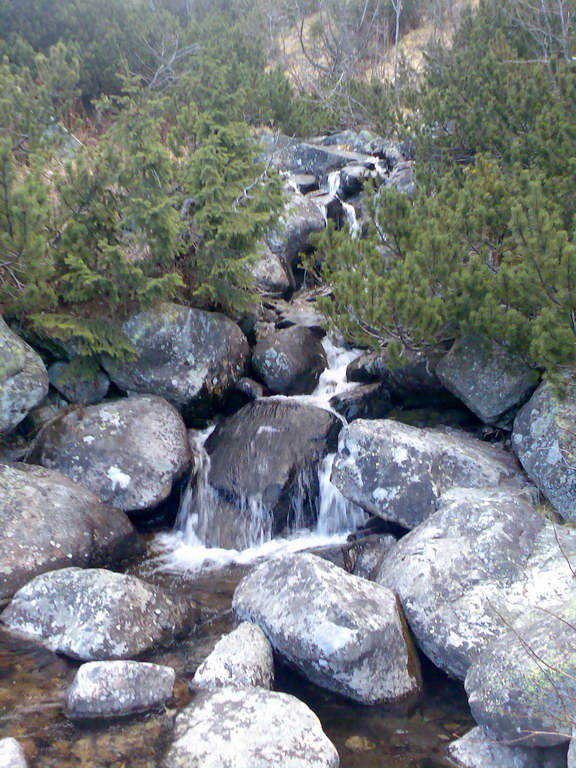 Veľké Biele pleso (Vysoké Tatry)