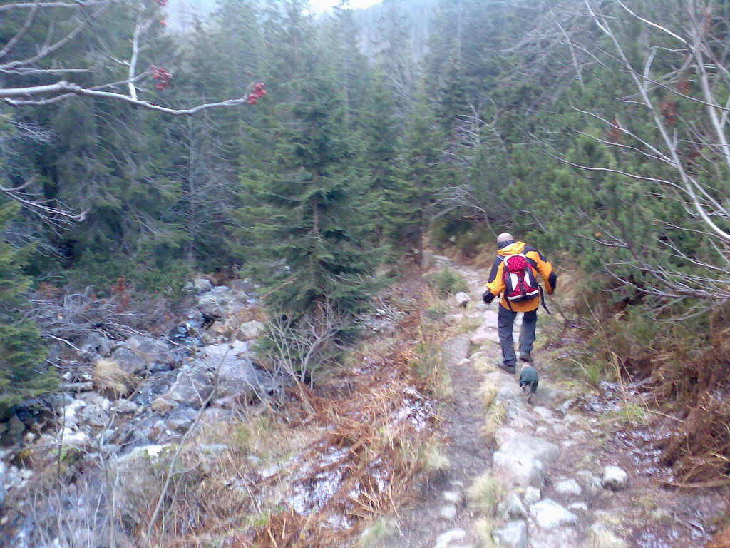 Veľké Biele pleso (Vysoké Tatry)