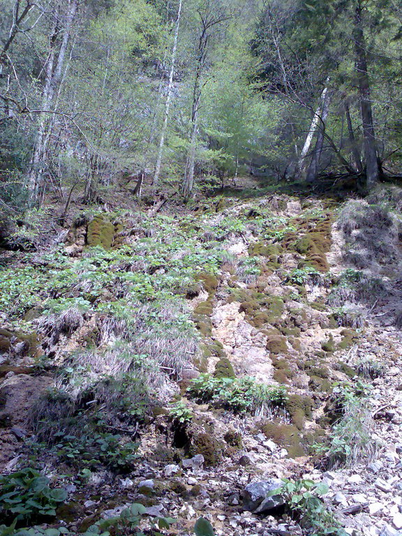 Veľký Sokol & Stredné Piecky (Slovenský raj)