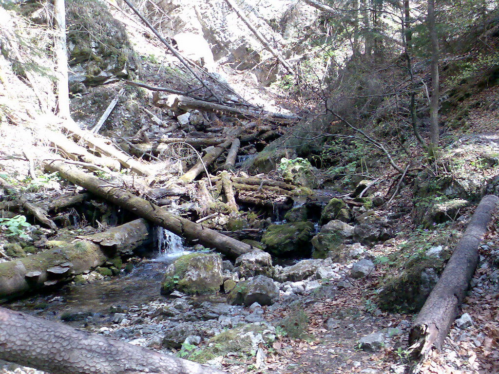 Veľký Sokol & Stredné Piecky (Slovenský raj)