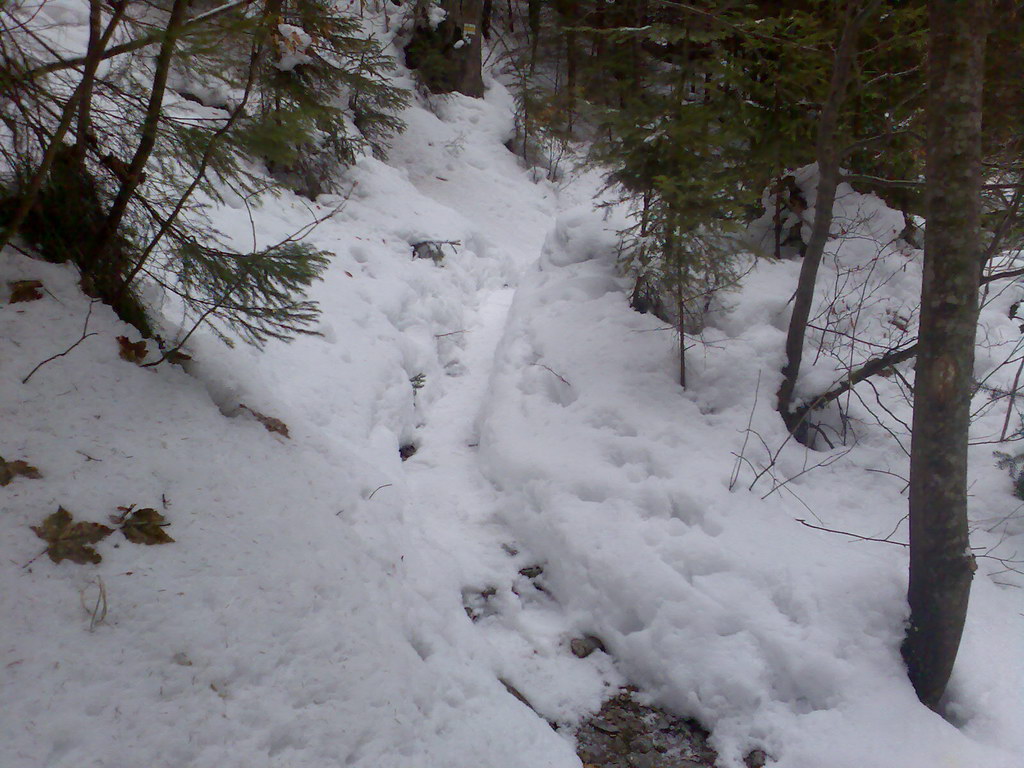 Veľký Sokol (Slovenský raj)