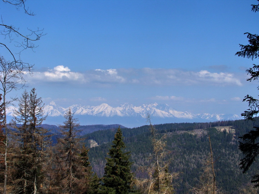 Babiná (Volovské vrchy)