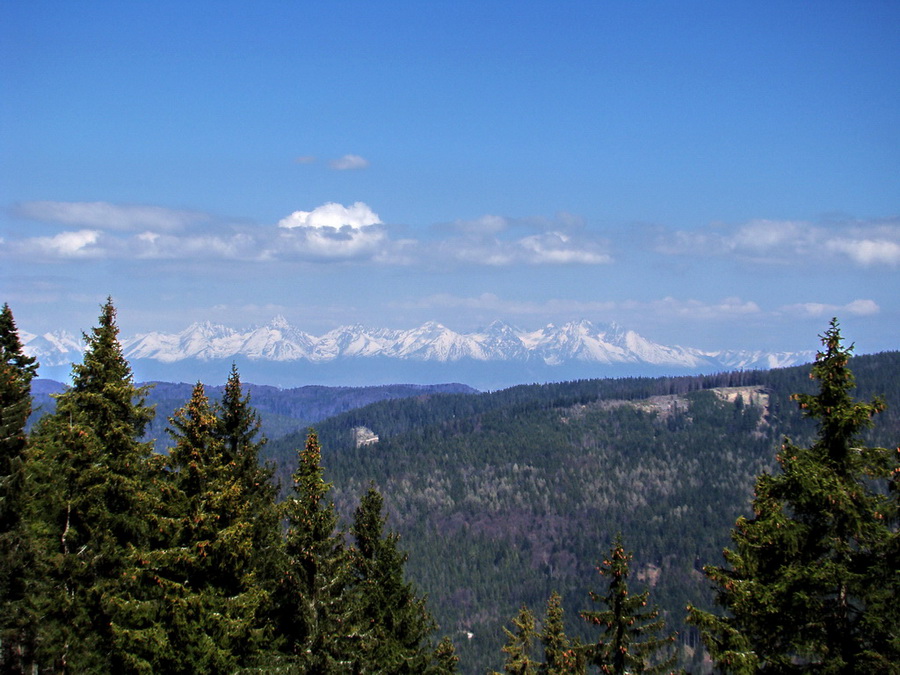 Babiná (Volovské vrchy)