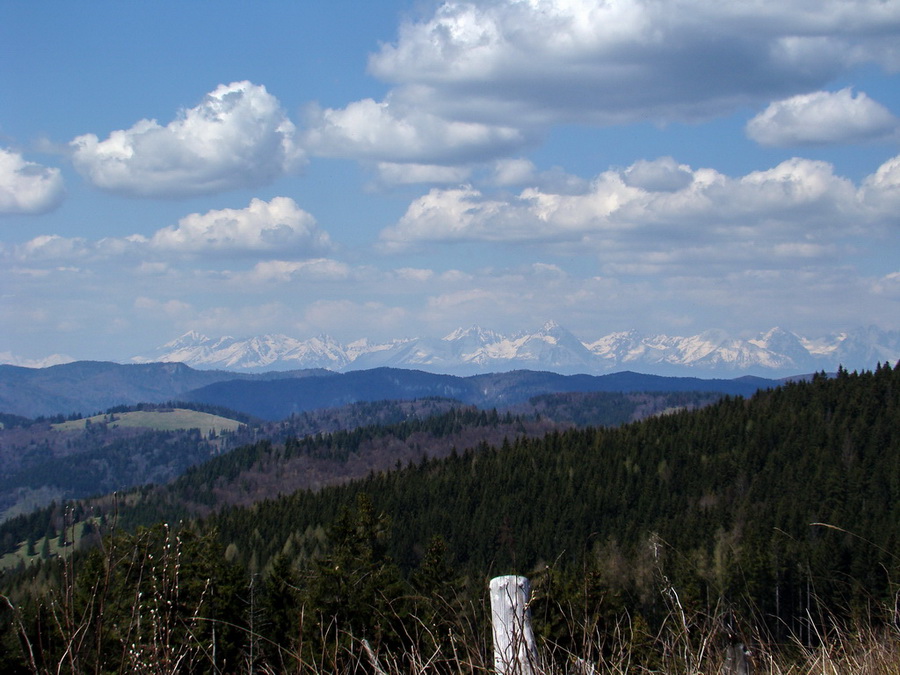 Babiná (Volovské vrchy)