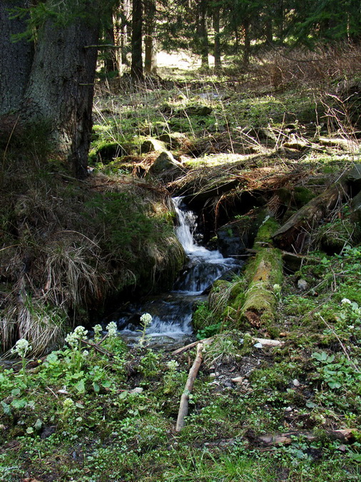 Babiná (Volovské vrchy)