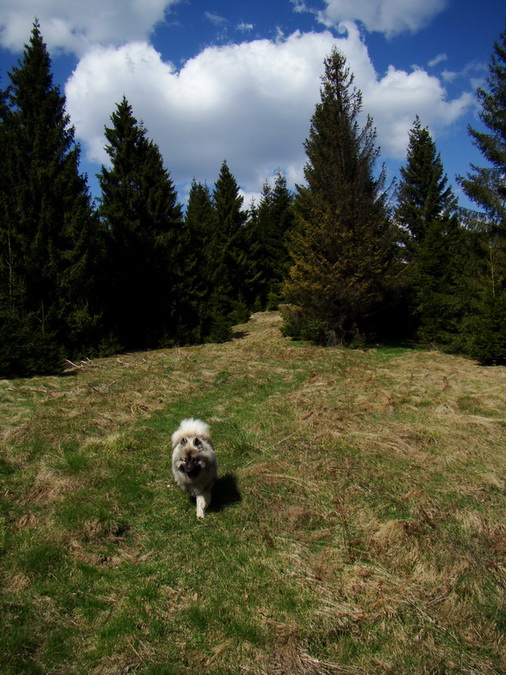 Babiná (Volovské vrchy)