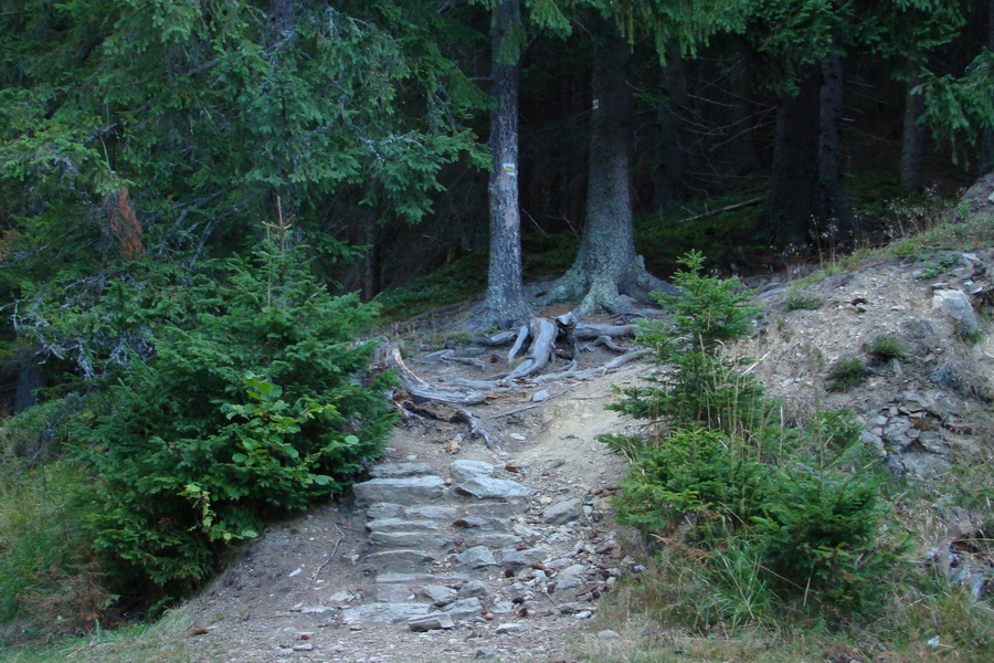 Baranec cez Holý vrch (Západné Tatry)