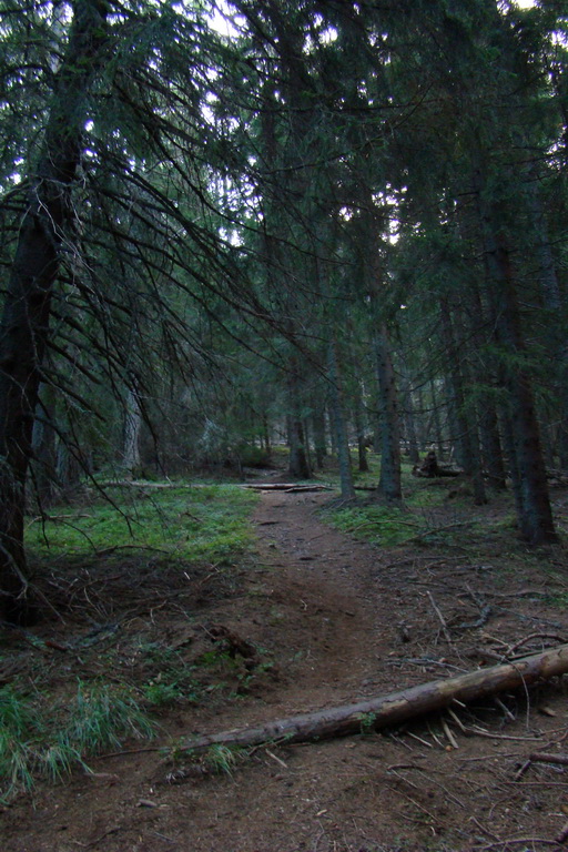 Baranec cez Holý vrch (Západné Tatry)