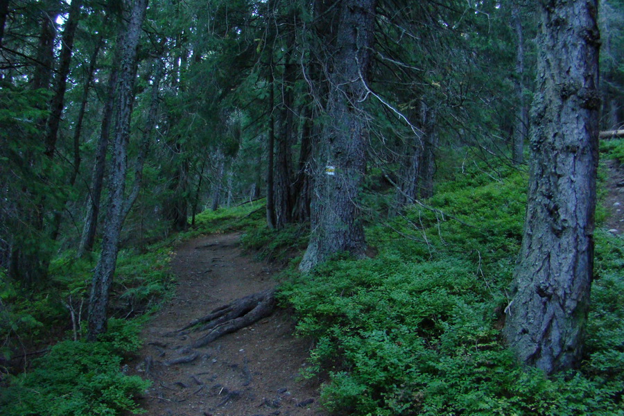 Baranec cez Holý vrch (Západné Tatry)