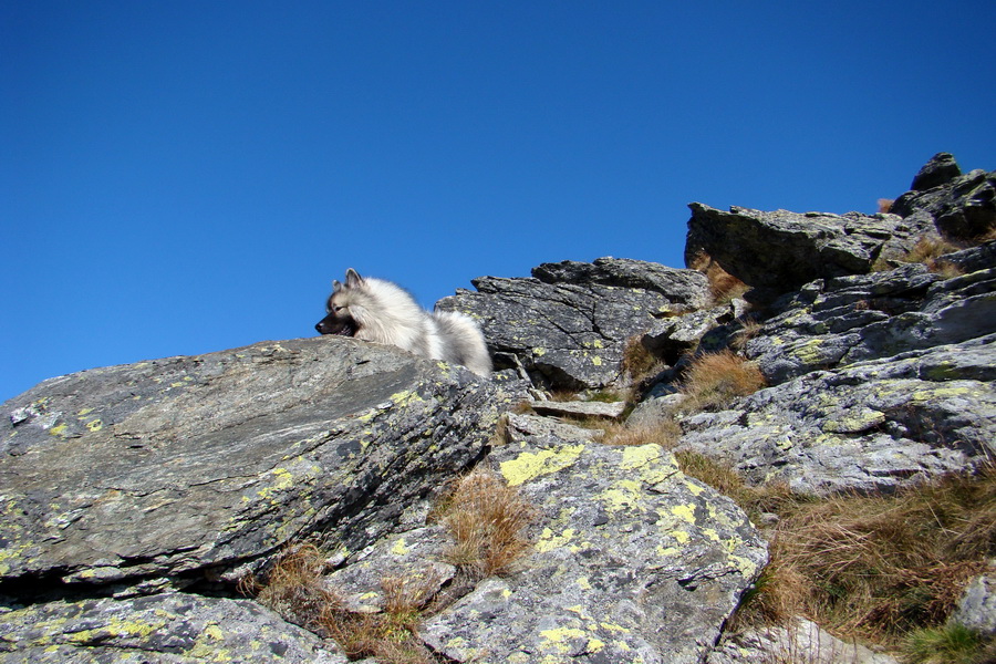 Baranec cez Holý vrch (Západné Tatry)