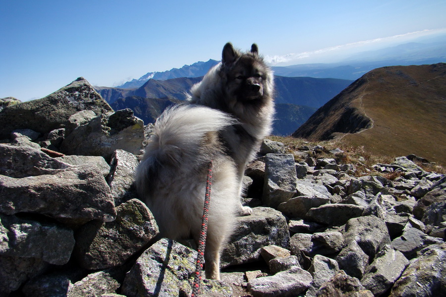 Baranec cez Holý vrch (Západné Tatry)