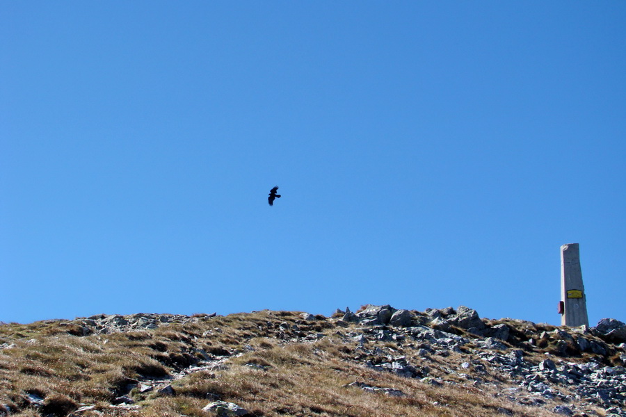 Baranec cez Holý vrch (Západné Tatry)