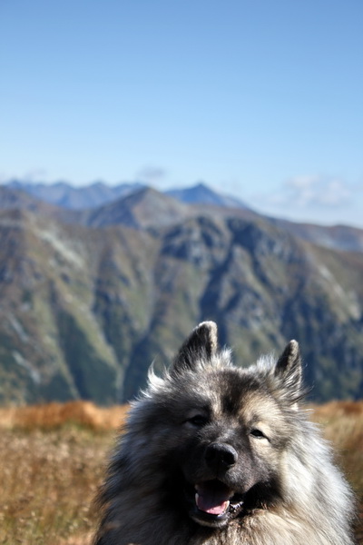 Baranec cez Holý vrch (Západné Tatry)