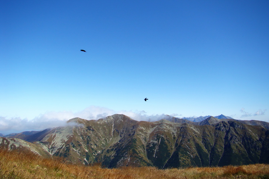 Baranec cez Holý vrch (Západné Tatry)