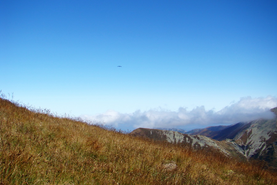 Baranec cez Holý vrch (Západné Tatry)