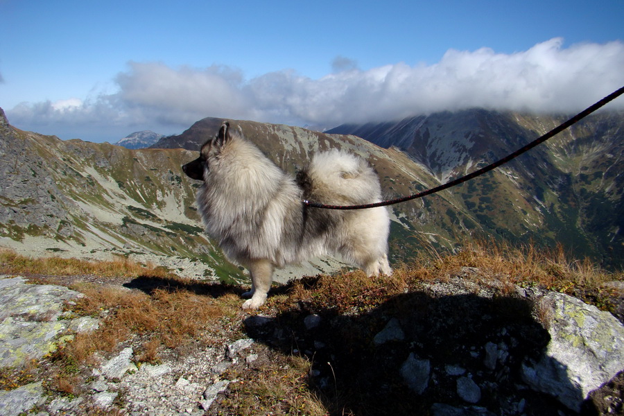 Baranec cez Holý vrch (Západné Tatry)