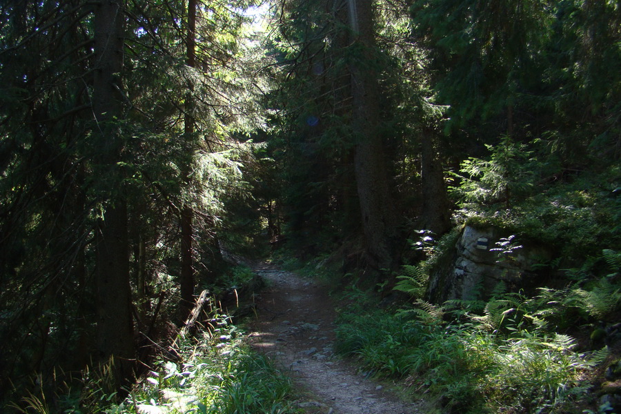 Baranec cez Holý vrch (Západné Tatry)