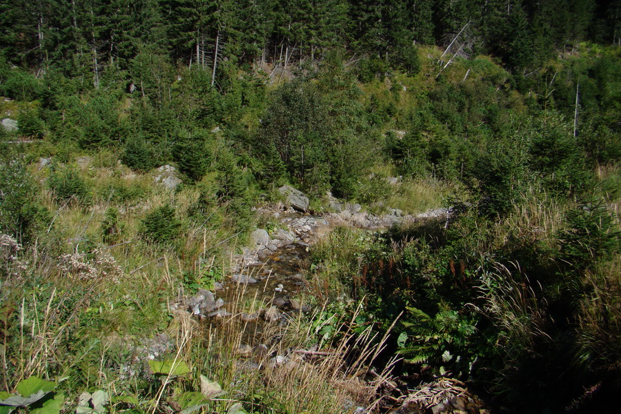 Baranec cez Holý vrch (Západné Tatry)