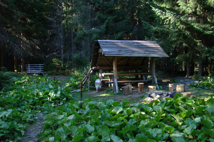 Baranec cez Holý vrch (Západné Tatry)